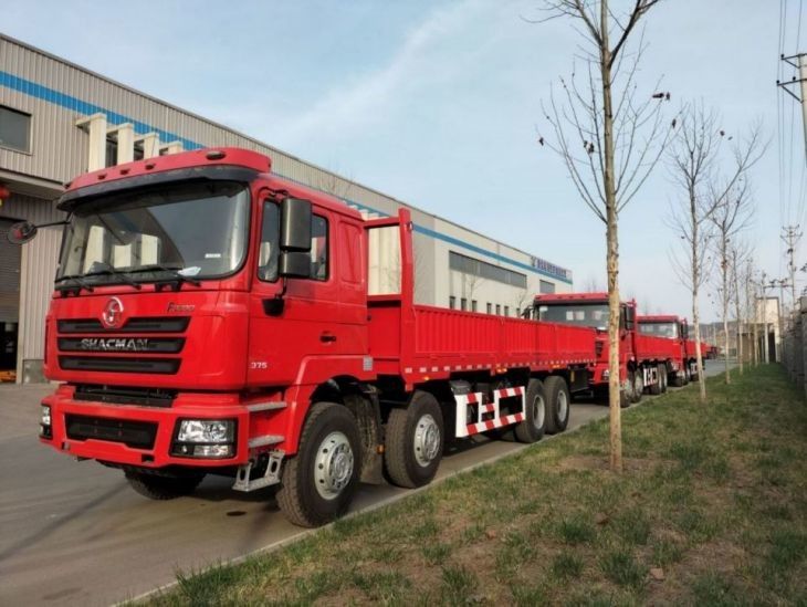 خزان الوقود 400L شاحنة شاحنة شاكمان F3000 8x4 شاحنة 375Hp نيون الأحمر
